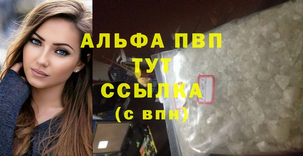ПСИЛОЦИБИНОВЫЕ ГРИБЫ Белокуриха