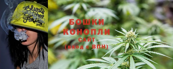 ПСИЛОЦИБИНОВЫЕ ГРИБЫ Белокуриха